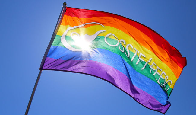 OSSTF Pride Flag
