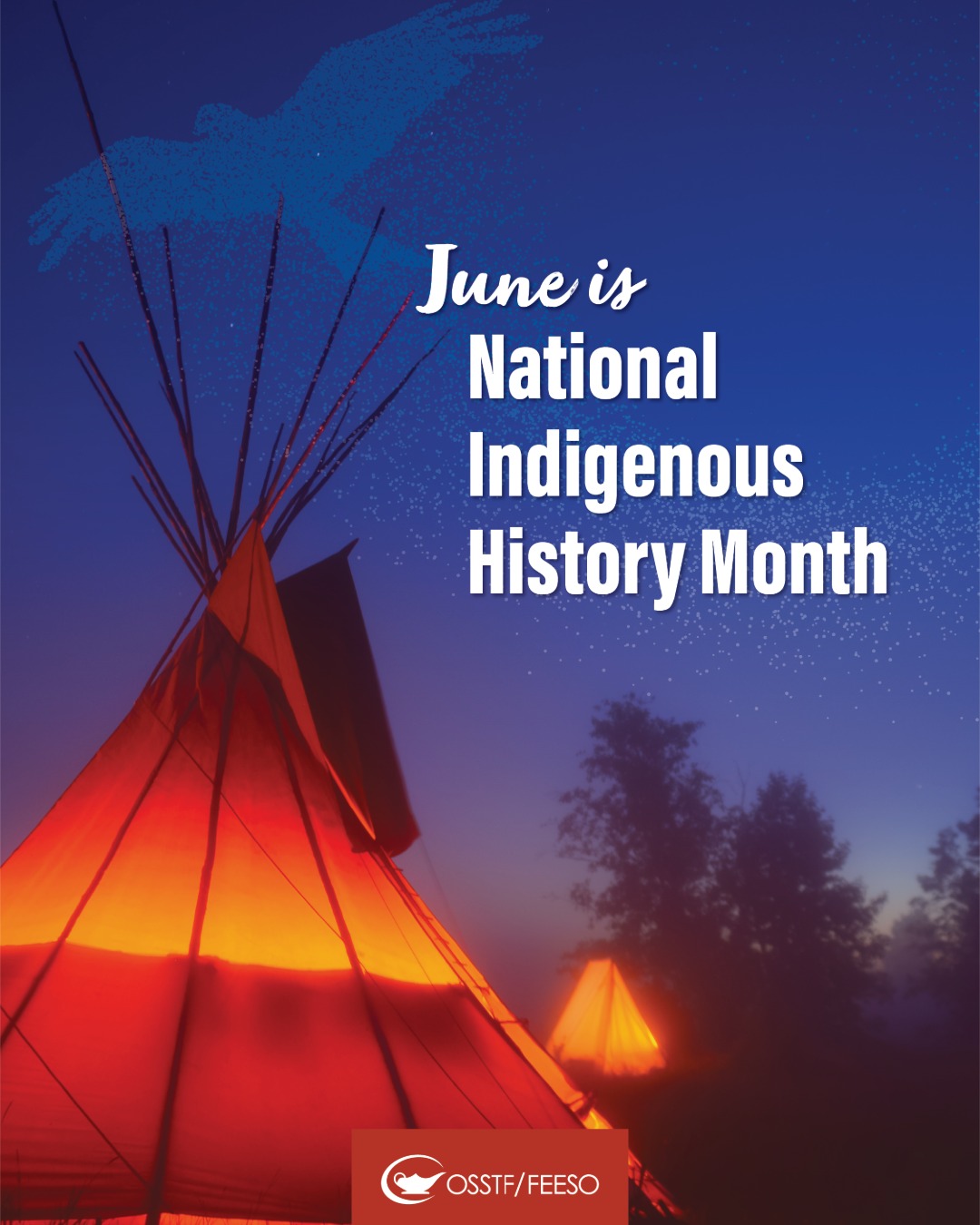 June is National Indigenous History Month. 