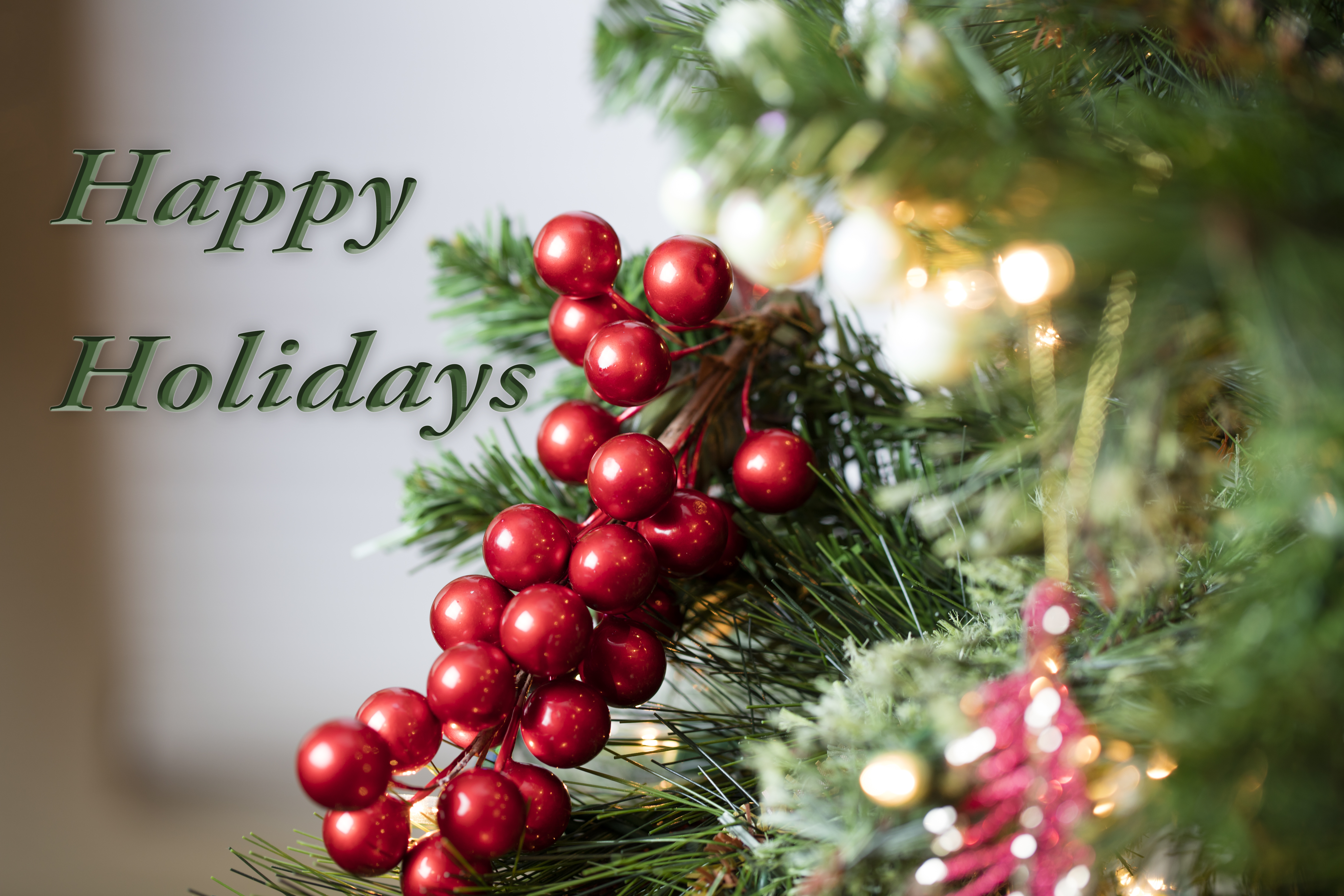 Seasons Greetings from ARM Council